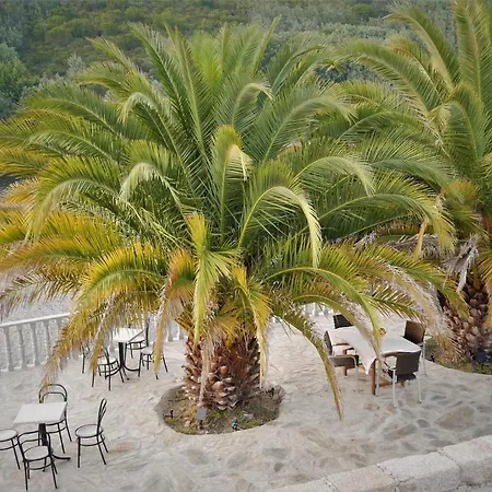 Encontro No Rio Bed & Breakfast *