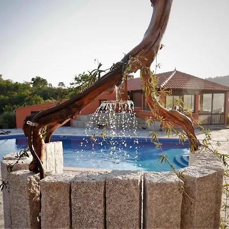 Encontro No Rio Bed & Breakfast *