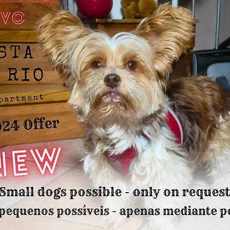 Encontro No Rio Отель типа 