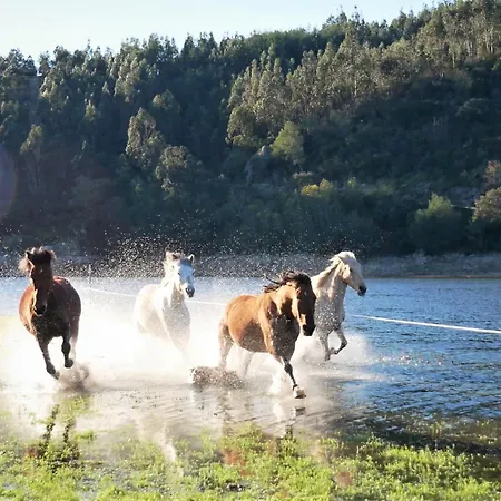 Encontro No Rio Povoa de Midoes