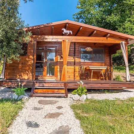 Encontro No Rio * Povoa de Midoes